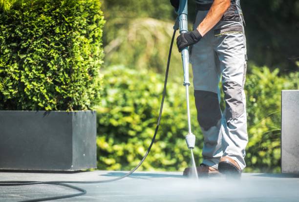 Best Gutter Cleaning  in Loma Linda, CA
