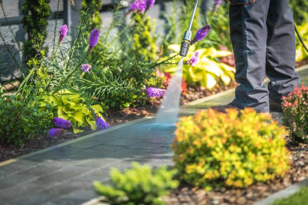Best Parking Lot and Garage Cleaning  in Loma Linda, CA
