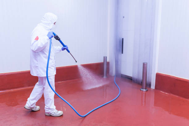 Best Pool Deck Cleaning  in Loma Linda, CA