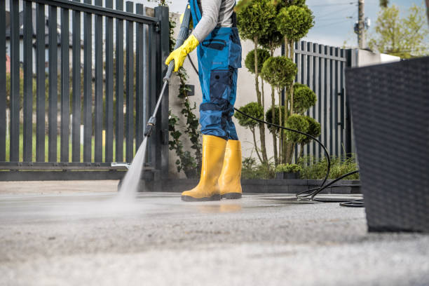 Professional Pressure Washing Services in Loma Linda, CA